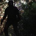 Panika u Ohiju, ljudi zovu da su ugledali Bigfoota! Stru&ccaron;njaci: 'Ovo nismo vidjeli 50 godina'