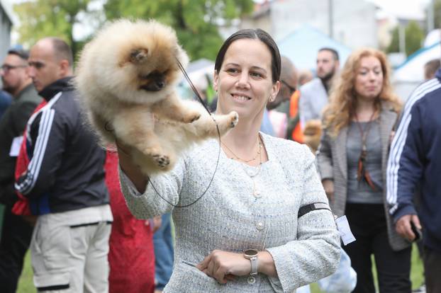 Karlovac: Me?unarodna izložba pasa