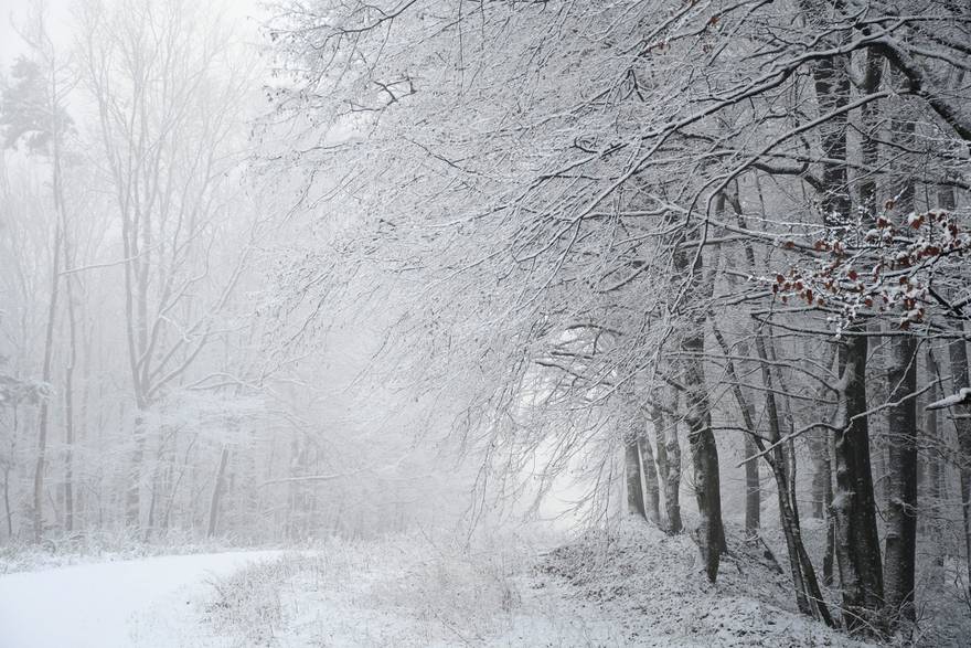 [TOP 3 VIJESTI DANA] Dinamična zima: Danas južina, a onda će u razdoblju od 12 sati temperatura pasti 15 stupnjeva