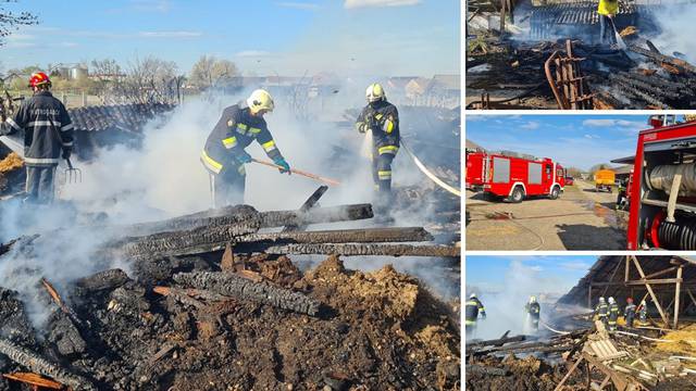 Vatrogasci brzom intervencijom ugasili požar u Đelekovcu i spasili pčele u blizini