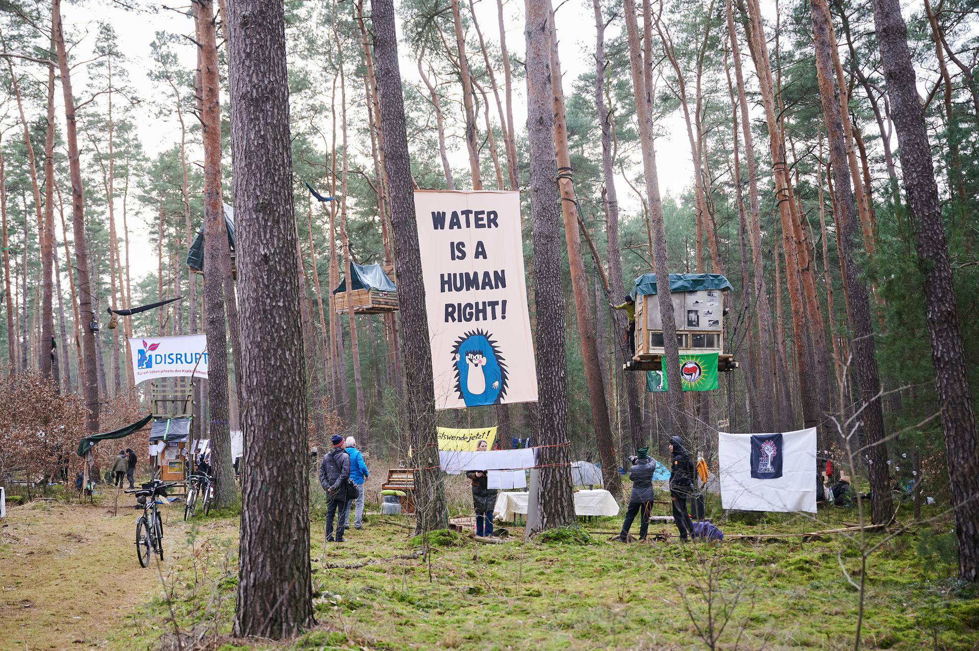 Protest action against the expansion of the Tesla car factory