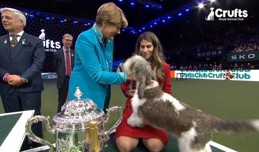 Pseći Croatian Sensation na Cruftsu: Slavna Meghan je drugi najljepši pas kraljevske izložbe