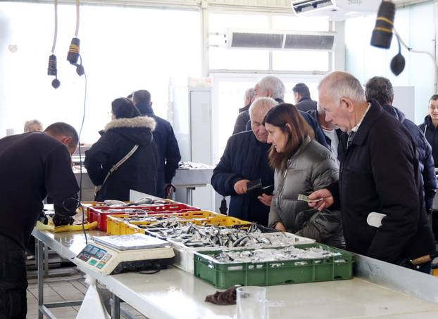 Šibenik: Skromna ponuda srdela i ostale ribe na ribarnici