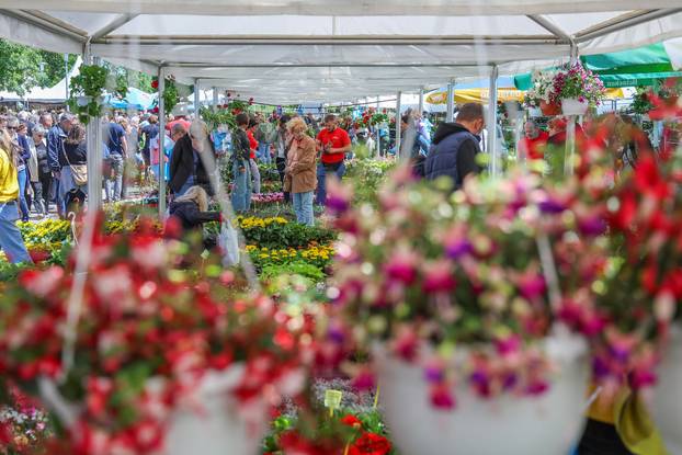 Zagreb: Sunce obasjalo Flora Art