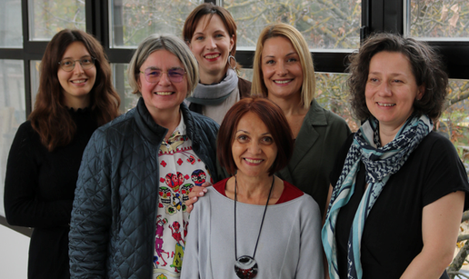 Rad znanstvenica s Ruđera o nanomaterijalima objavljen je u prestižnom časopisu