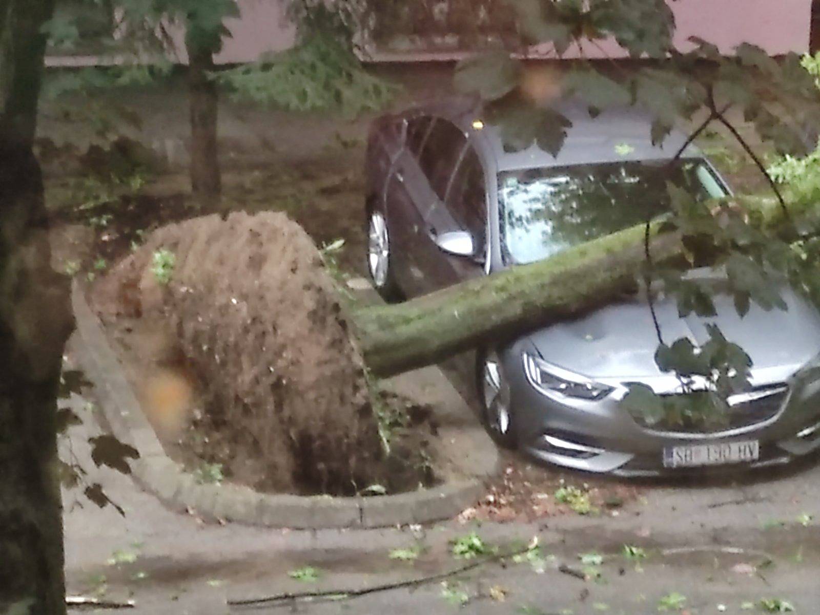 Kaos i u Slavoniji: Vjetar čupao stabla, nestalo je i struje. Službe bile zatrpane pozivima