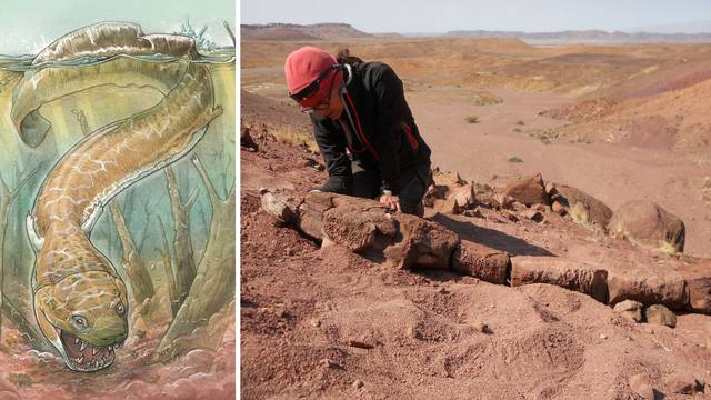Čudovište iz močvare zapravo je Namibije? Znanstvenici opisali fosil prapovijesnog predatora...