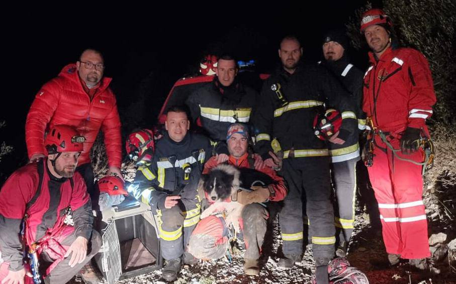 Vatrogasci i HGSS sinoć na Braču spasili psa iz jame: 'Čulo se cviljenje, bila je isprepadana'