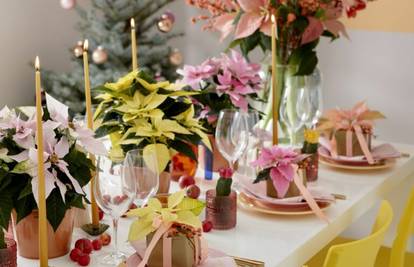 Pokloni s cvatućim božićnim zvijezdama