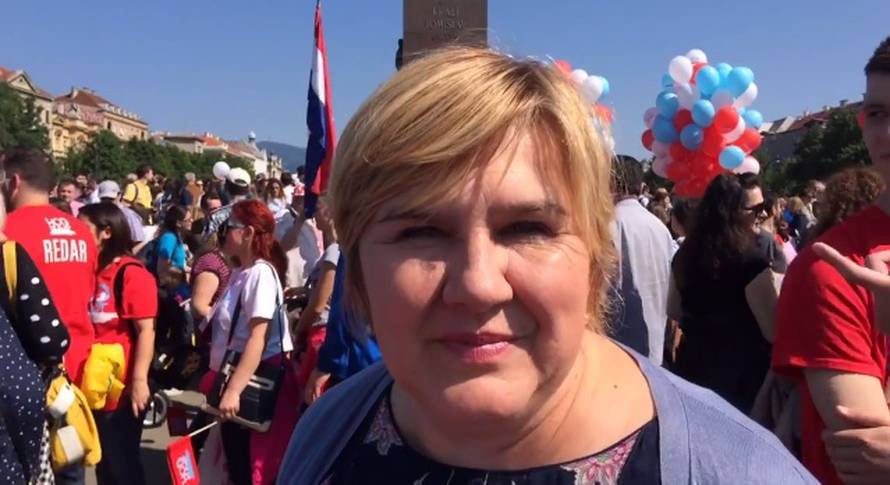 Projekt Domovina: Glasajte za Hasanbegovića i Podolnjaka