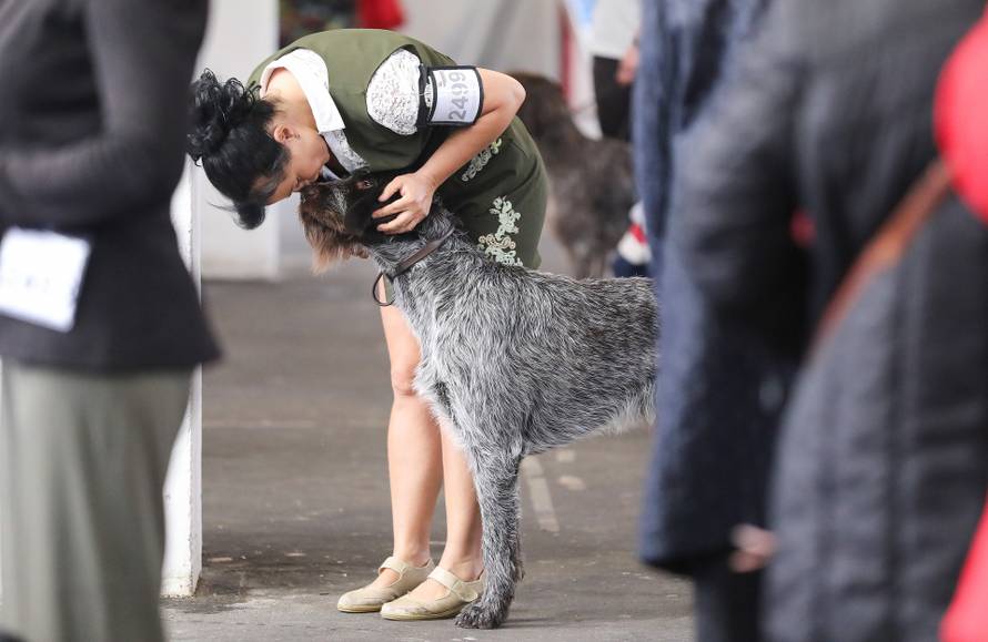 Zagreb: Svjetska izložba pasa na Velesajmu