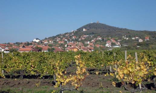 Neće biti žeđi: Domaćin Vršac dom je brojnih vinarija i pivnica