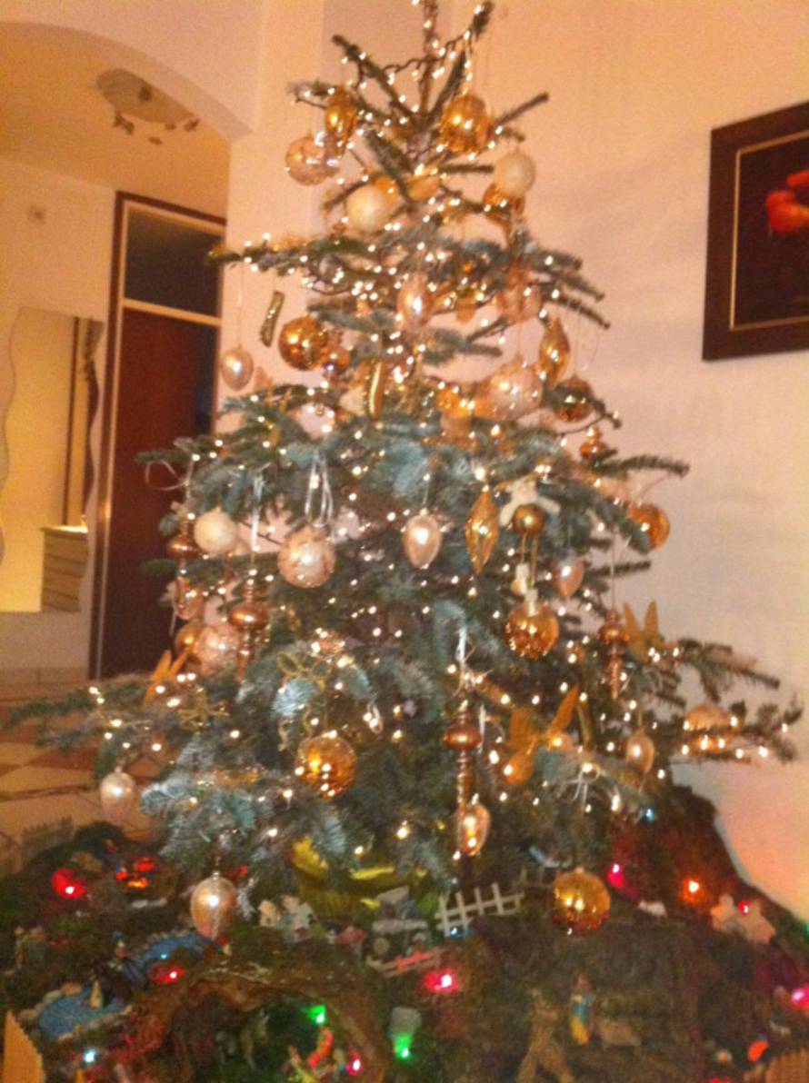 Šaljite fotografije božićnih jelki i osvojite vrijednu nagradu...