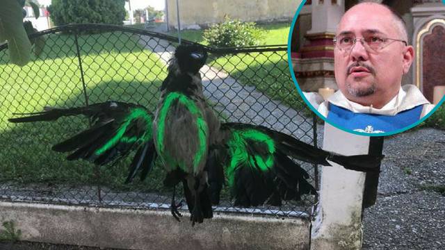 Pobuna protiv svećenika: Na ogradu mu objesili mrtve ptice