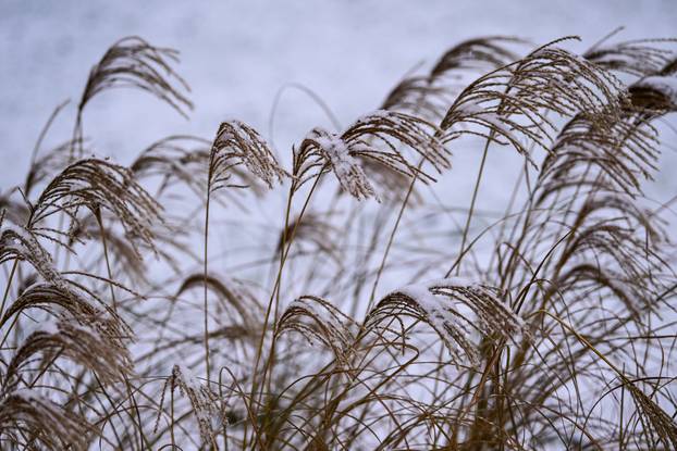 Zagreb: Zimska idila na Bundeku