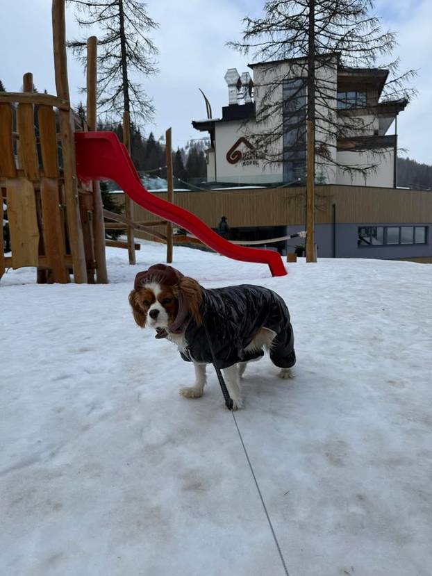 FOTO Ovo su fotke i snimke vaših ljubimaca u snijegu: Uživajte u preslatkim prizorima!