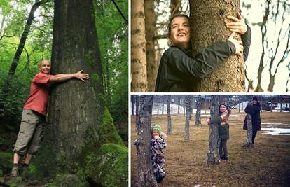Upravitelji šuma na Islandu pozvali građane da grle stabla