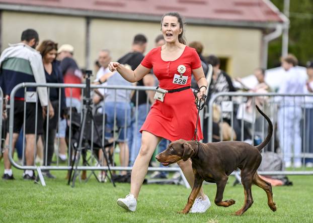 Velika Gorica: IDC Svjetsko prvenstvo pasmine doberman