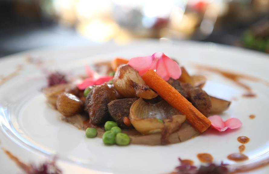 Gastroevent Split - češnjak i sumpor