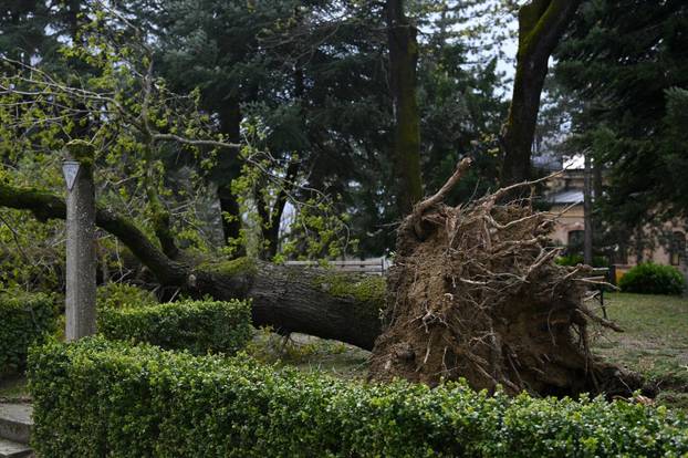 Zagreb: U nevremenu teško oštećeno gradsko groblje Mirogoj