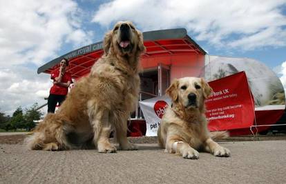 Prva mobilna banka krvi za pse traži dlakave donore 