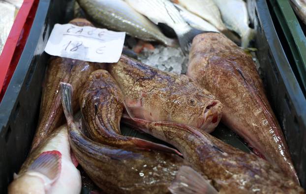 Šibenik: Bogata ponuda u šibenskoj ribarnici