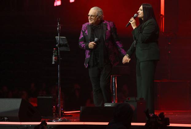 Željko Samardžić održao koncert u Areni Zagreb