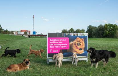 Plakat koji miriše na dom: HT pomaže izgubljenim psima