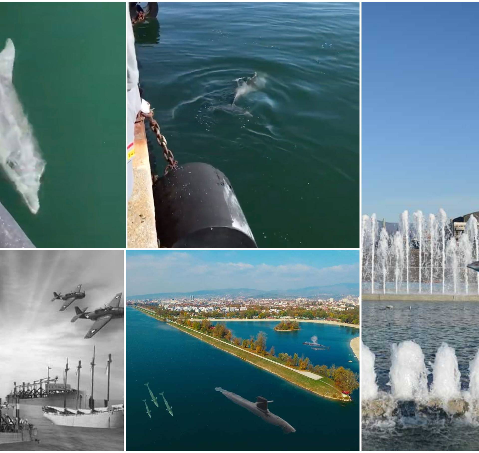 Priroda se oporavlja: Delfini su, nakon Italije, viđeni u Zagrebu!