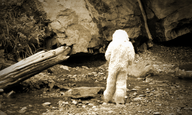 JEZA U Ohiju osmero ljudi kaže da je srelo Bigfoota! A sjećate se Nessie i Yetija? Evo 'gdje su'