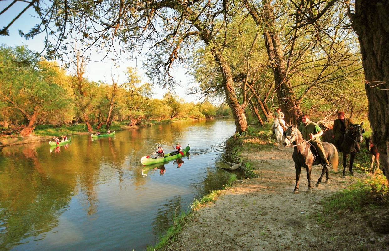Oglas za posao: Slavonija i Baranja traže veći broj rurista