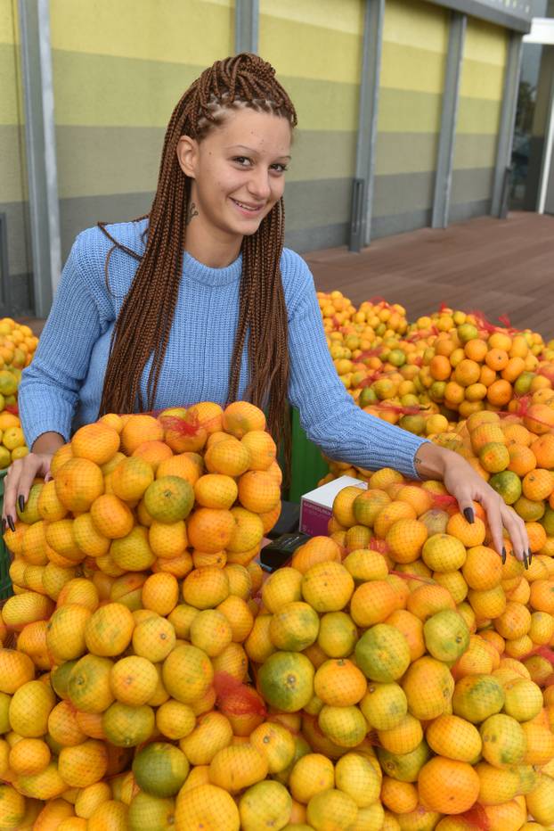 Zagreb: Prodavačica mandarina Kristina Penava ponovno prodaje mandarine na štandu 