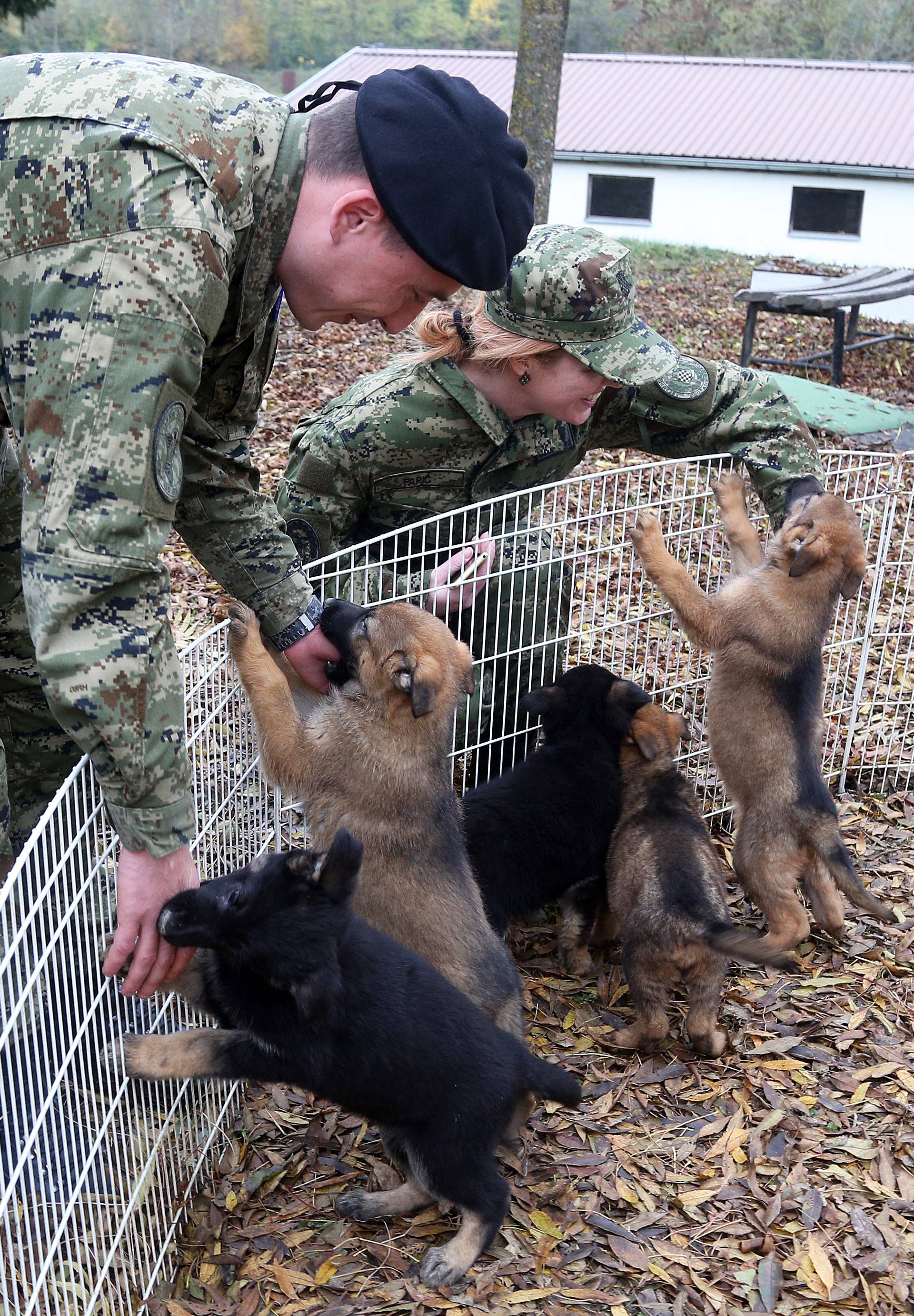 U Dugom Selu obučavaju se psi koji rade u vojnoj policiji, carini