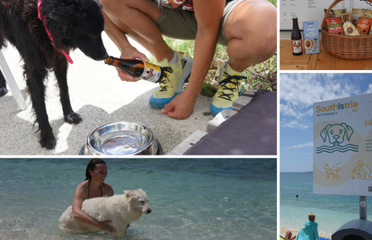 Pseći raj na moru: Psi piju pivo u vlastitom baru na plaži. 'I ja ću otvoriti sličan u Švicarskoj!'