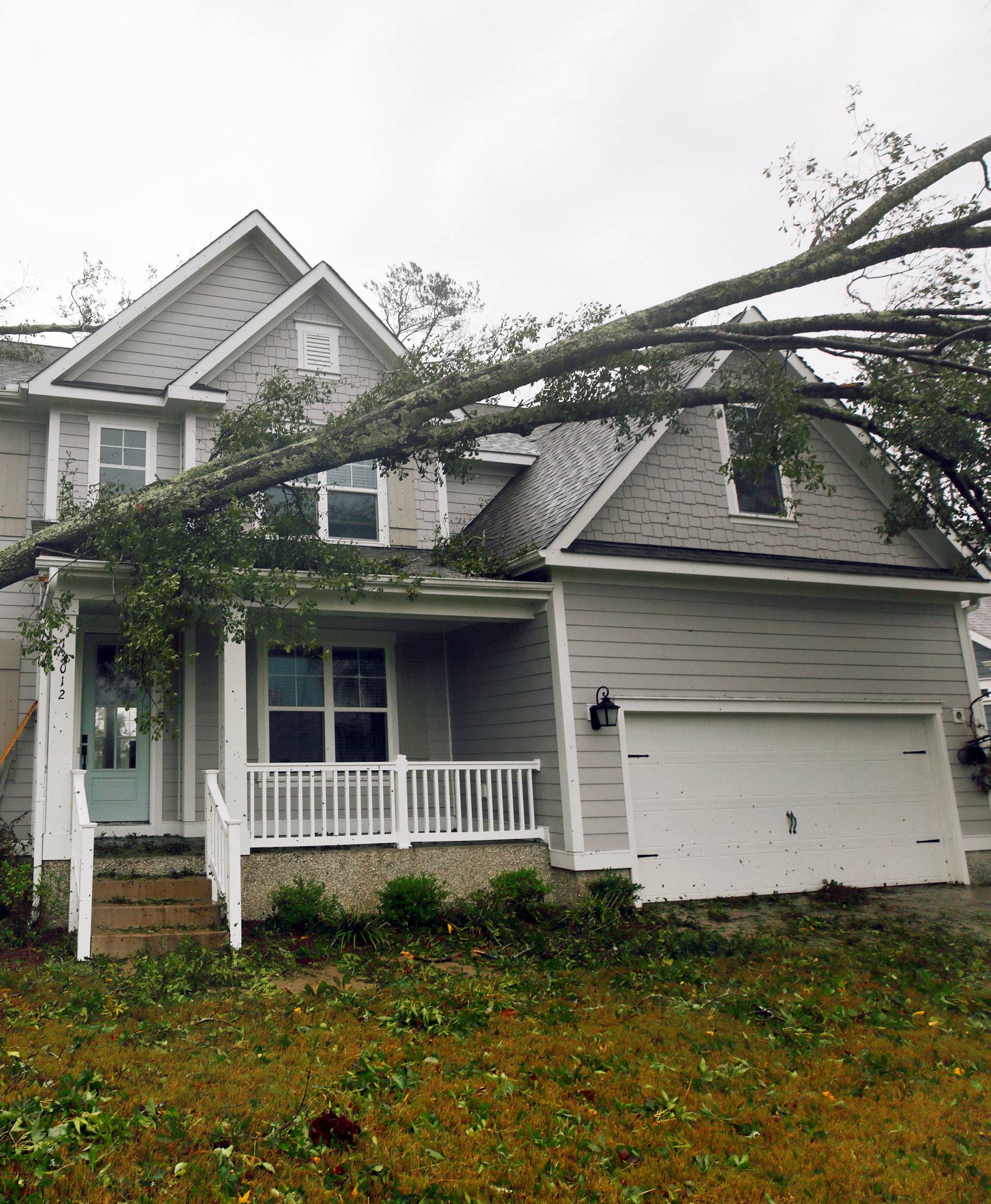 A tree rests on a newly-constructed house after Hurricane Florence struck in Belville, North Carolina