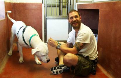 Antistres terapija: Tom Hardy se voli družiti s psima iz azila