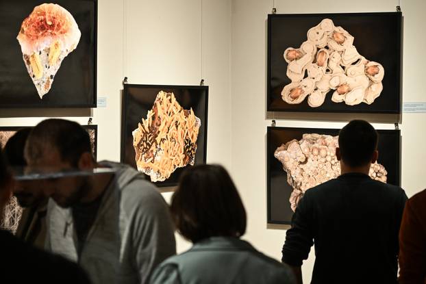 Zagreb: Otvorenje izložbe  Savršenstvo evolucije – Razotkrivanje