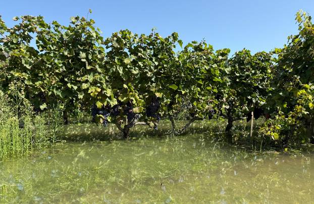 Vrgorac: Posljedice obilnih kiša na području općine Pojezere