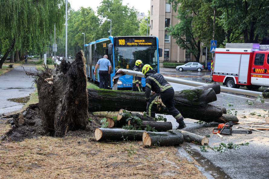 Zagreb: Vatrogasci uklanjaju stablo koje je palo u Ulici Svetog Mateja