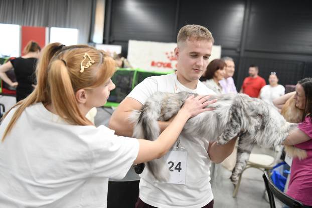 Zagreb: Međunarodna izlozba mačaka privukla brojne posjetitelje u Family Mall
