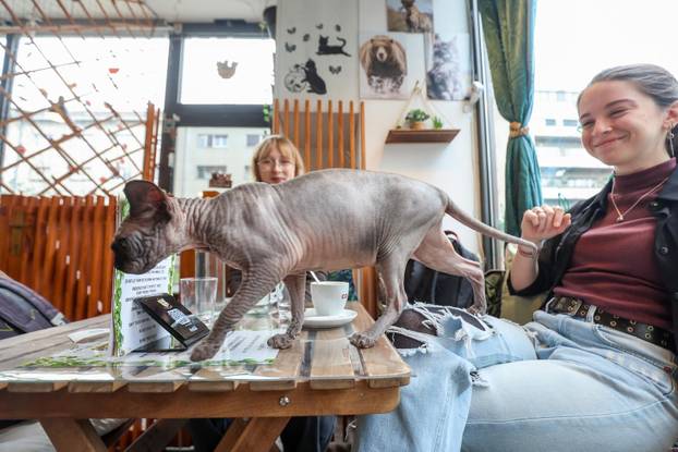 Zagreb: Emilija i Amer Alaydi otvorili su kafić Animal caffe