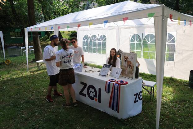 Zagreb: Međunarodni festival pasa jazavčara JAZOfest