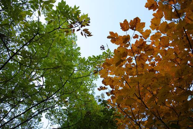 Nacionalni park Paklenica u jesenjem ruhu