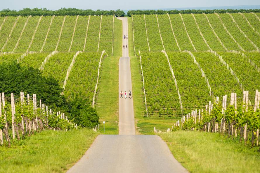 Hedonizam je na istoku