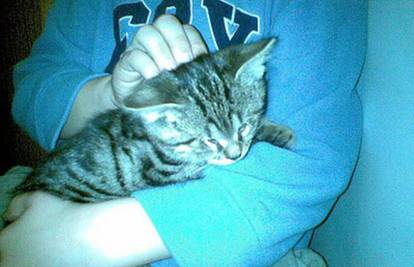 Moj kućni ljubimac: Filip (8,5) ima mačka Tummy Teodora