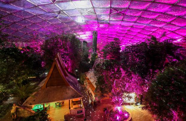 "Magic Tropical Lights" at Gondwanaland Leipzig