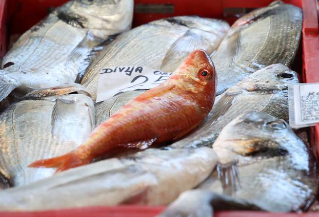 Šibenik: Ponuda ribe i ostalih morskih delicija