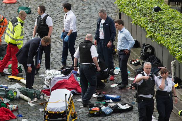 Palace of Westminster incident