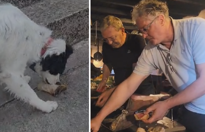 VIDEO Ričard časti svoje, pažnju ukrao njegov pas: 'Janjetina se čeka. Bit će tulum za pamćenje!'