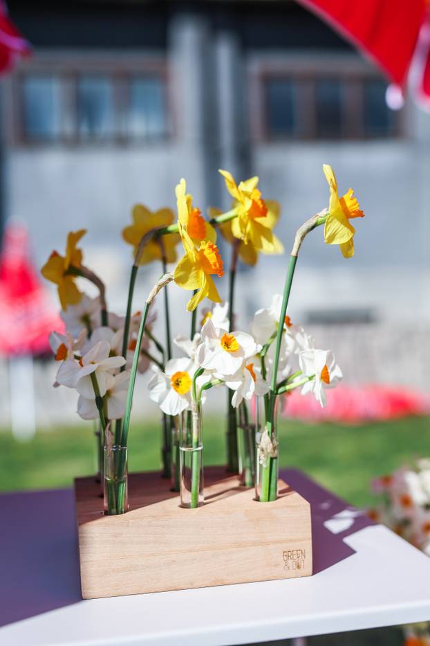 Zagreb: Izložba biljaka Plant market